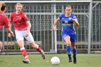 068d3dc8-9f01-4137-ba83-ede5462a652c