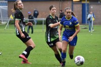 Afbeelding-2-2025-10-11