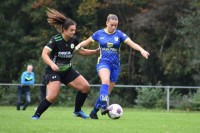 Afbeelding-6-2025-10-11