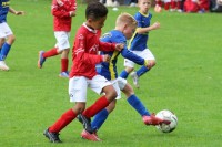 IMG_6690